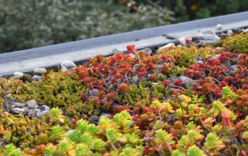 the cost of Costock green roof installation