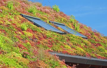 Costock living roof systems